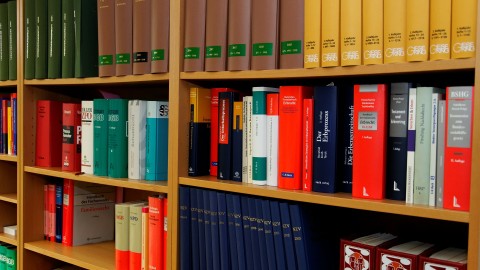 bookcase-335849_1920